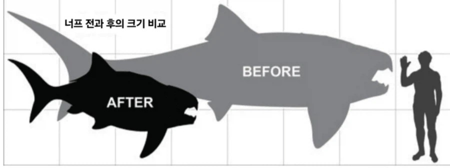 충격적인 너프를 받은 간지 폭발 물고기 이야기