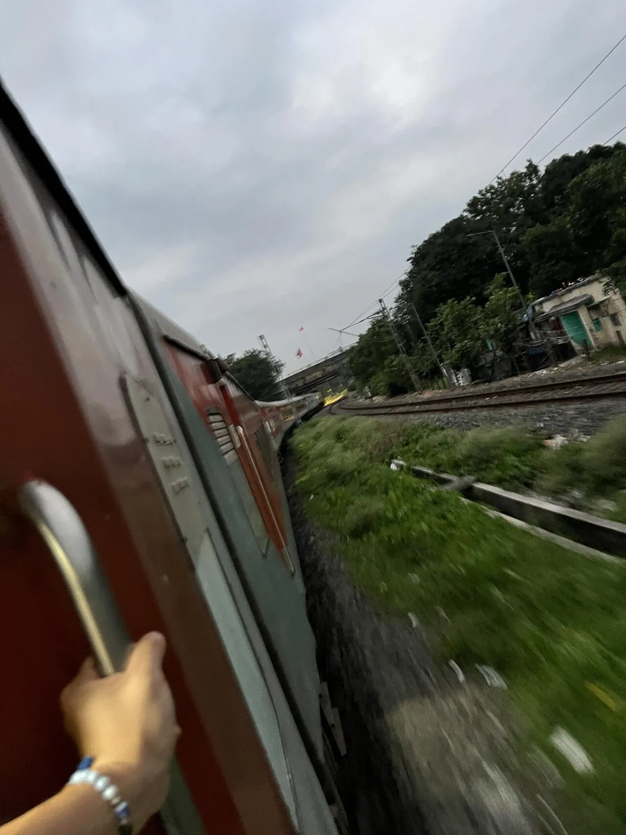 IMG_7264.JPEG 충격과 공포의 인도 바라나시 여행기 1부