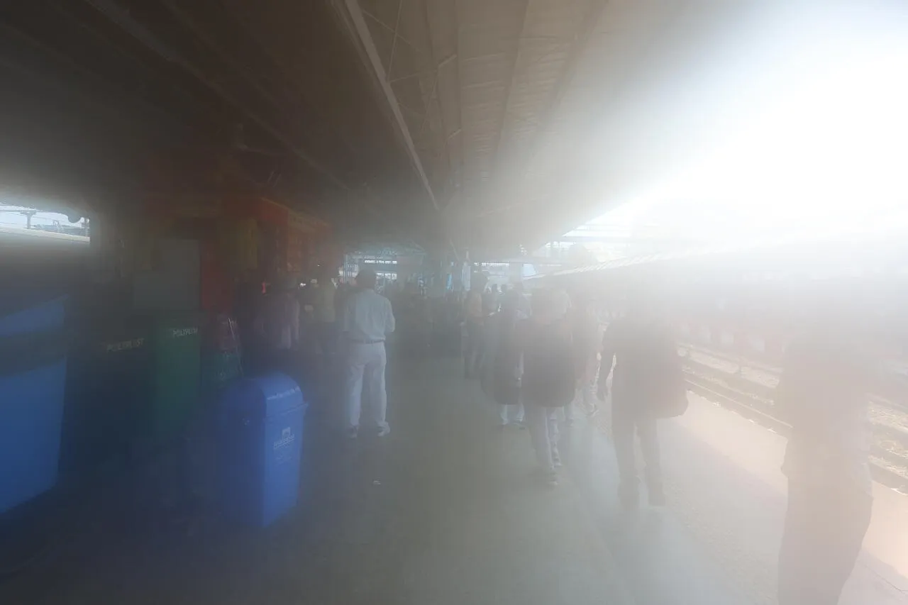 IMG_5640.JPEG 충격과 공포의 인도 바라나시 여행기 1부