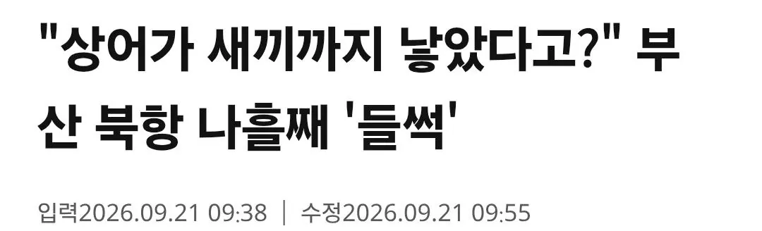 Screenshot_20260922_003141_Samsung Browser.jpg ๋ฌดํ์์ด๋ ์๋ผ ๋๋ฌธ์ ๋ชป ๋๊ฐ๋ ๊ฑธ๊น
