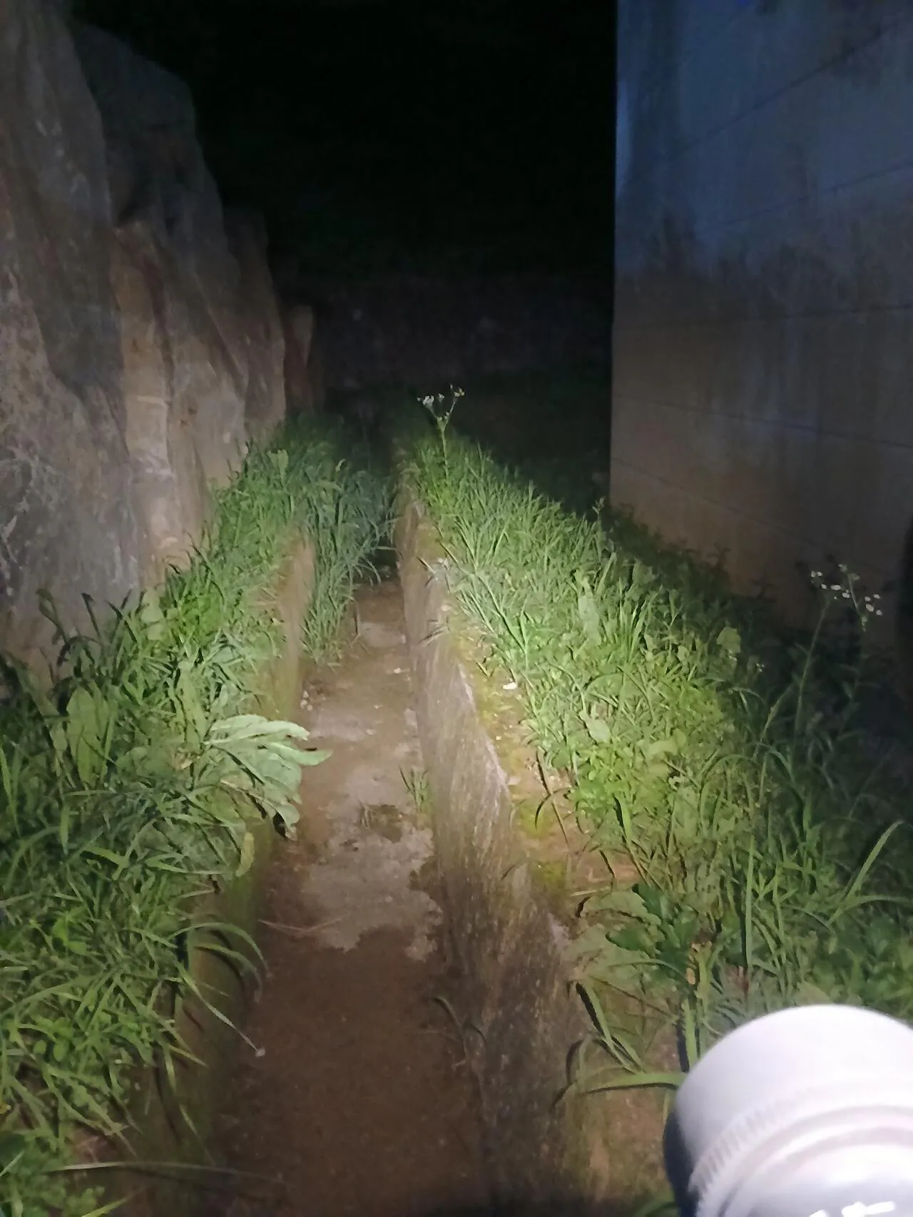 1000028430.jpg 혐주의) 뱀 찾으러 산 갔다 옴