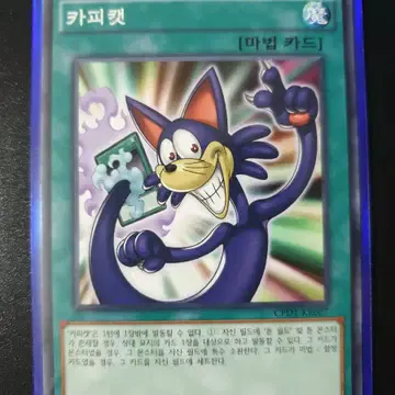 image.png ??? : 모든 장애인은 전부 없어져야 한다