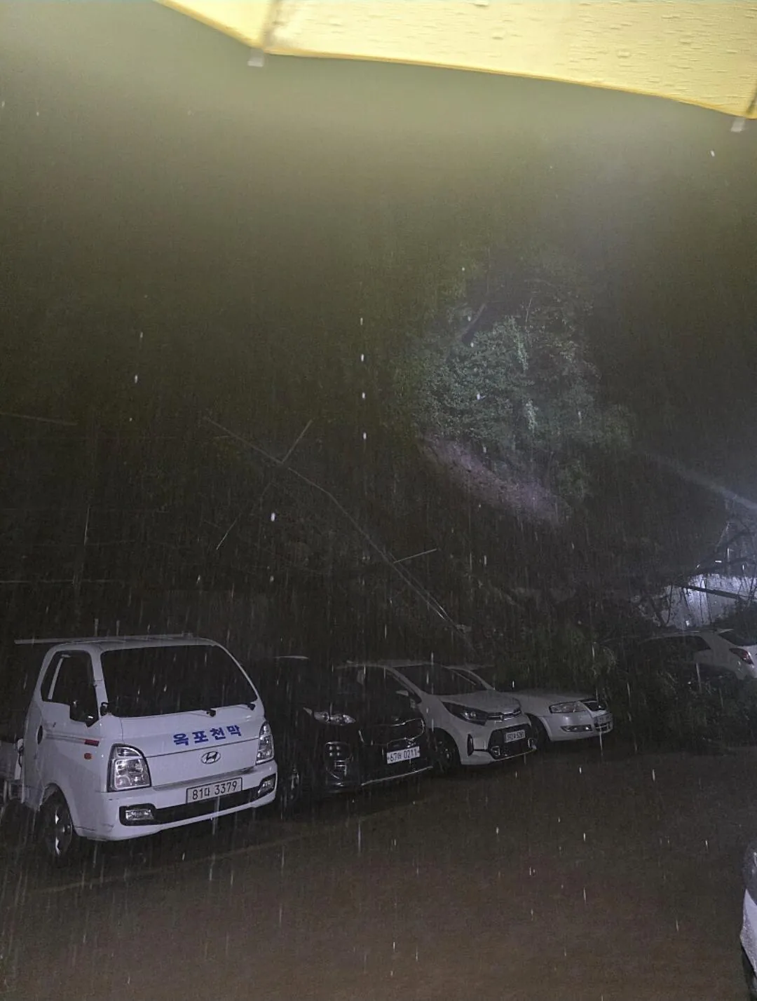 3593.jpg 거제 옥포소방서 뒷산 산사태 붕괴