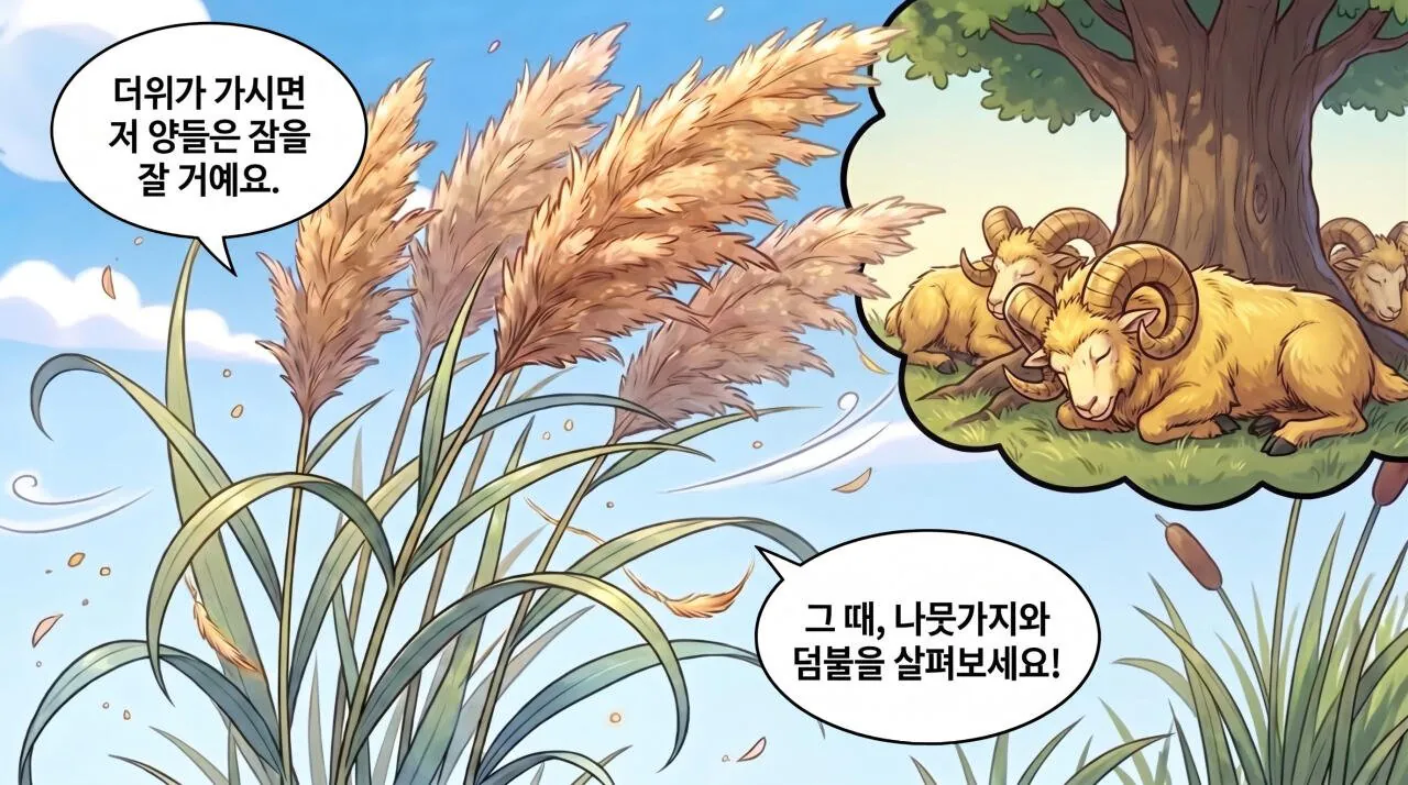 272.jpg 만화로 보는 그리스 로마 신화 - 사랑과 영혼, 프시케(5)