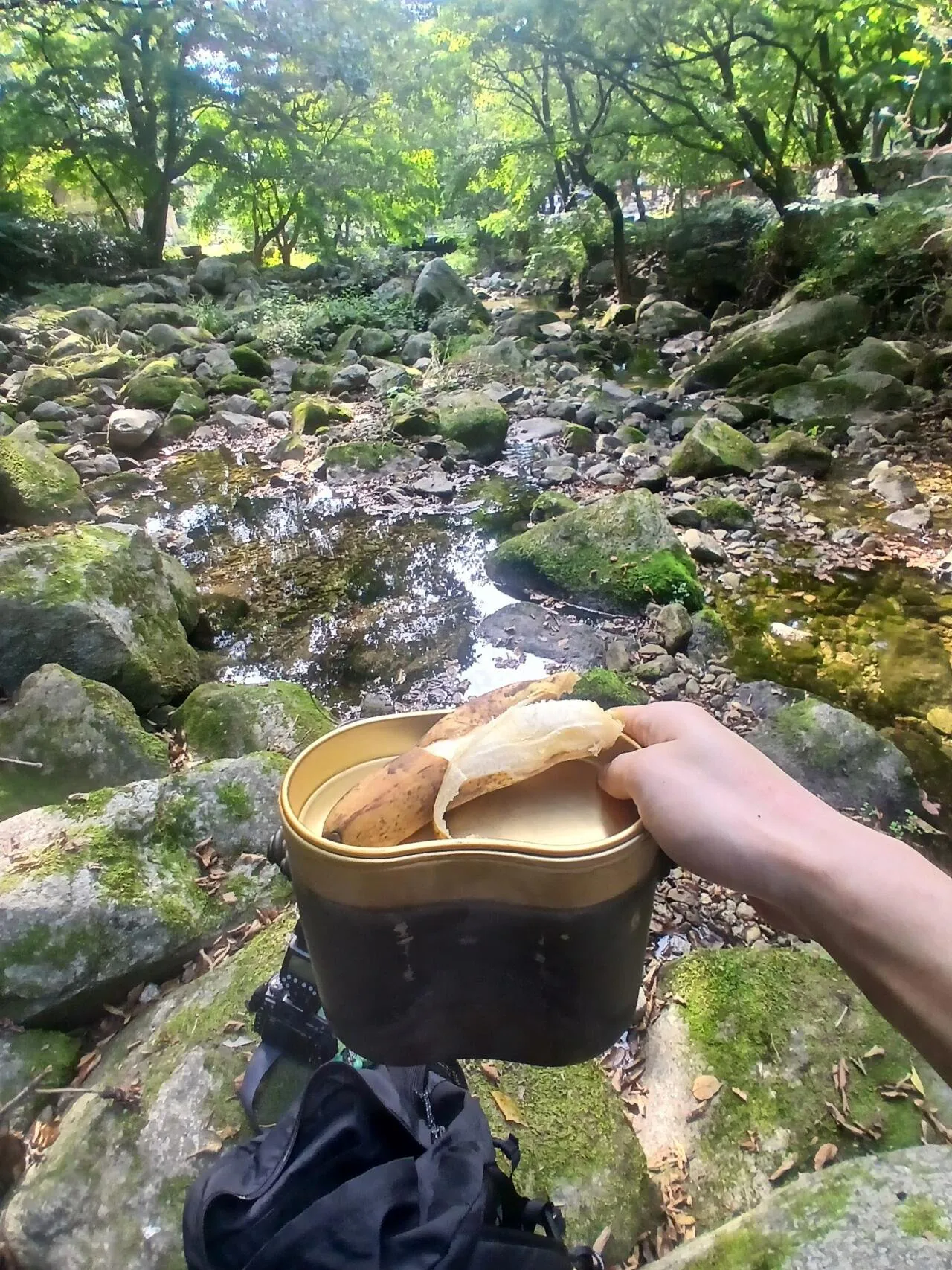 1000028966.jpg 혐주의) 제주도롱뇽 찾아보기