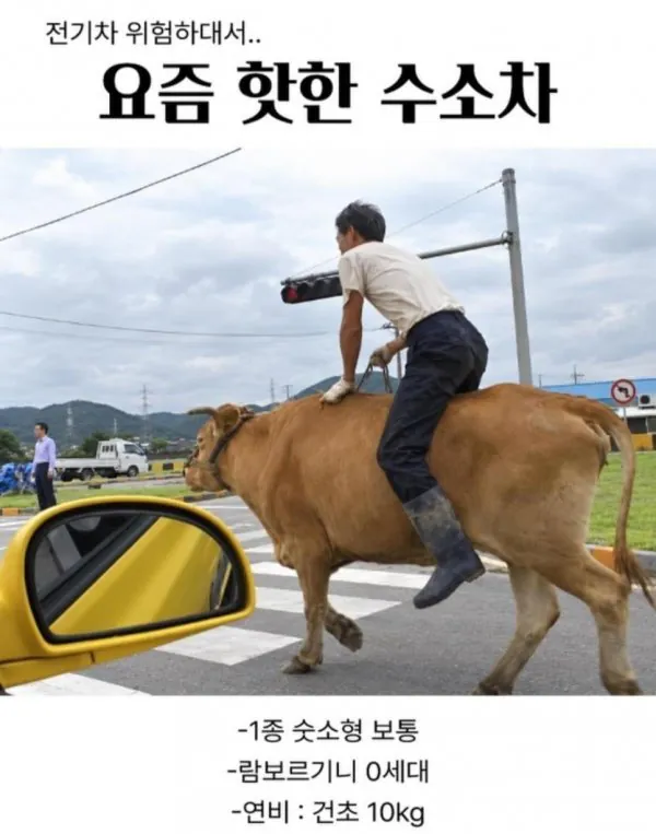 전기차 불안해서 수소차로 넘어간 후기.jpg