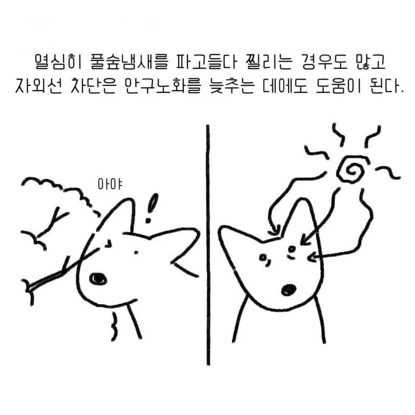 개를 키우기전에 했던 생각.manhwa