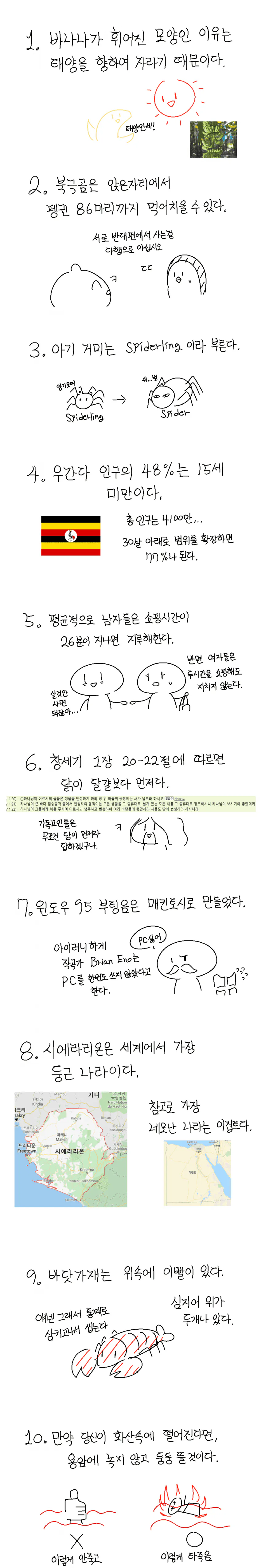 image.png 싱글벙글 신기한 사실들.manhwa