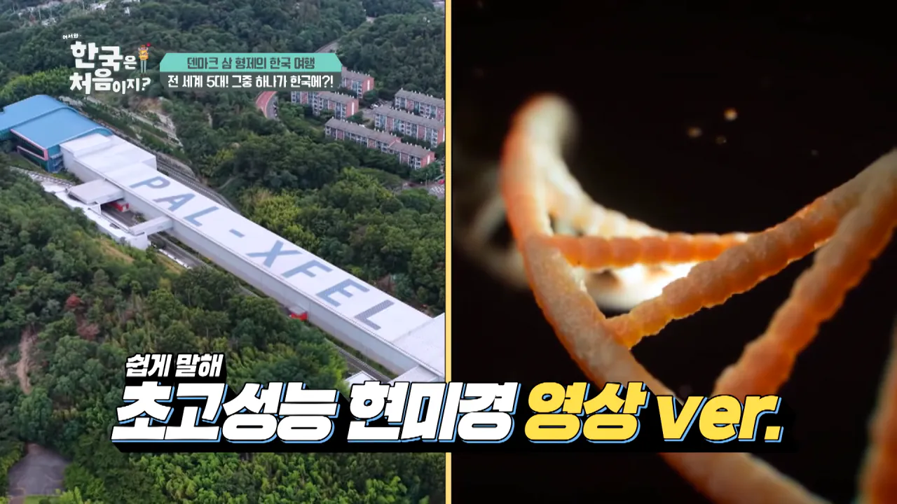 바이러스 잡는 거대한 현미경_ 한국 4세대 가속기 보러 간 덴마크 삼 형제 l #어서와한국은처음이지 l #MBCevery1 l EP.443 3-4 screenshot.png 덴마크 공대생이 어서와 한국은 처음이지 출연해서 방문한 곳 ㅋㅋㅋㅋㅋ