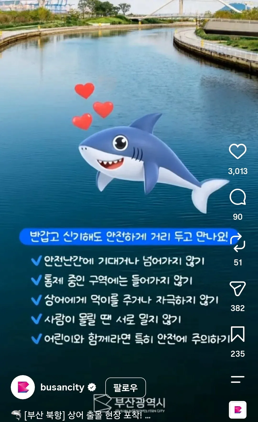 image.png 상어 부캉이 이슈에 하나둘씩 노젓기 시작하는 부산시.jpg