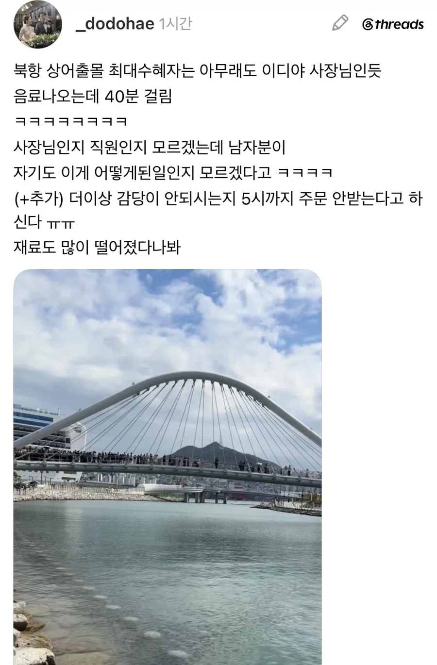 1.webp 부산 상어 특수.jpg