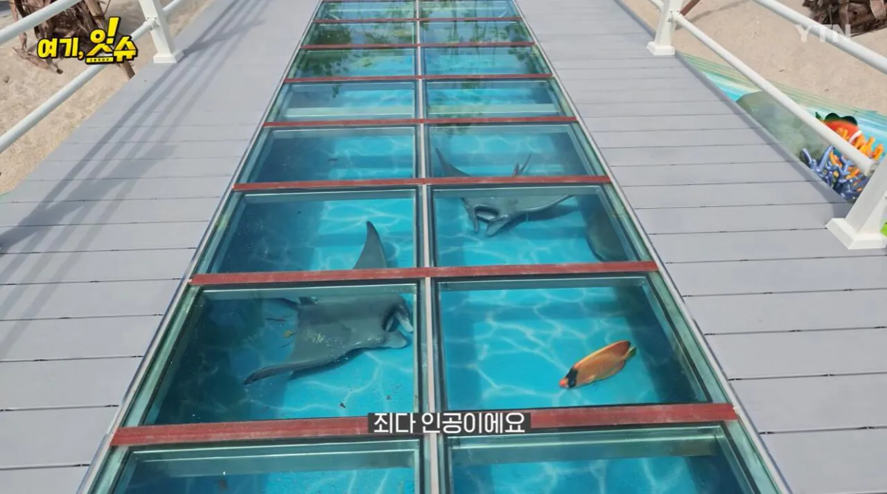 섬 박람회를 직접 가보니 화가 난다는 기자 ㄷㄷ