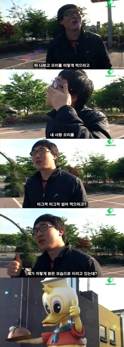 오리 01.jpeg 벼농사에 좋은 오리농법