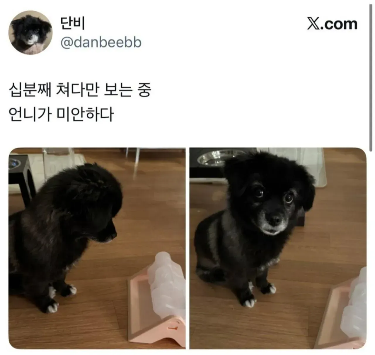 1001454380.webp 오늘도 다이소에 3천원 기부했다..jpg