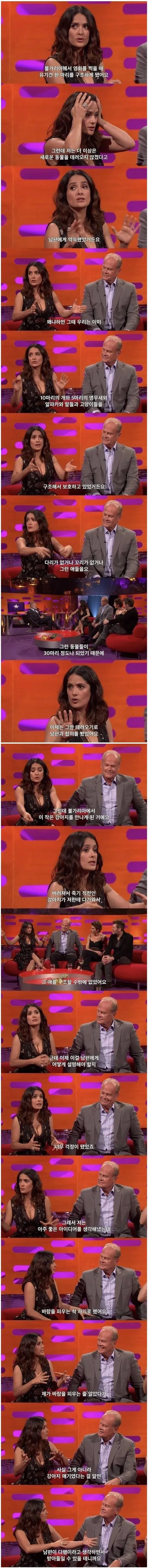 image.png 여보 미안해... 너무 외로워서 그랬어....jpg