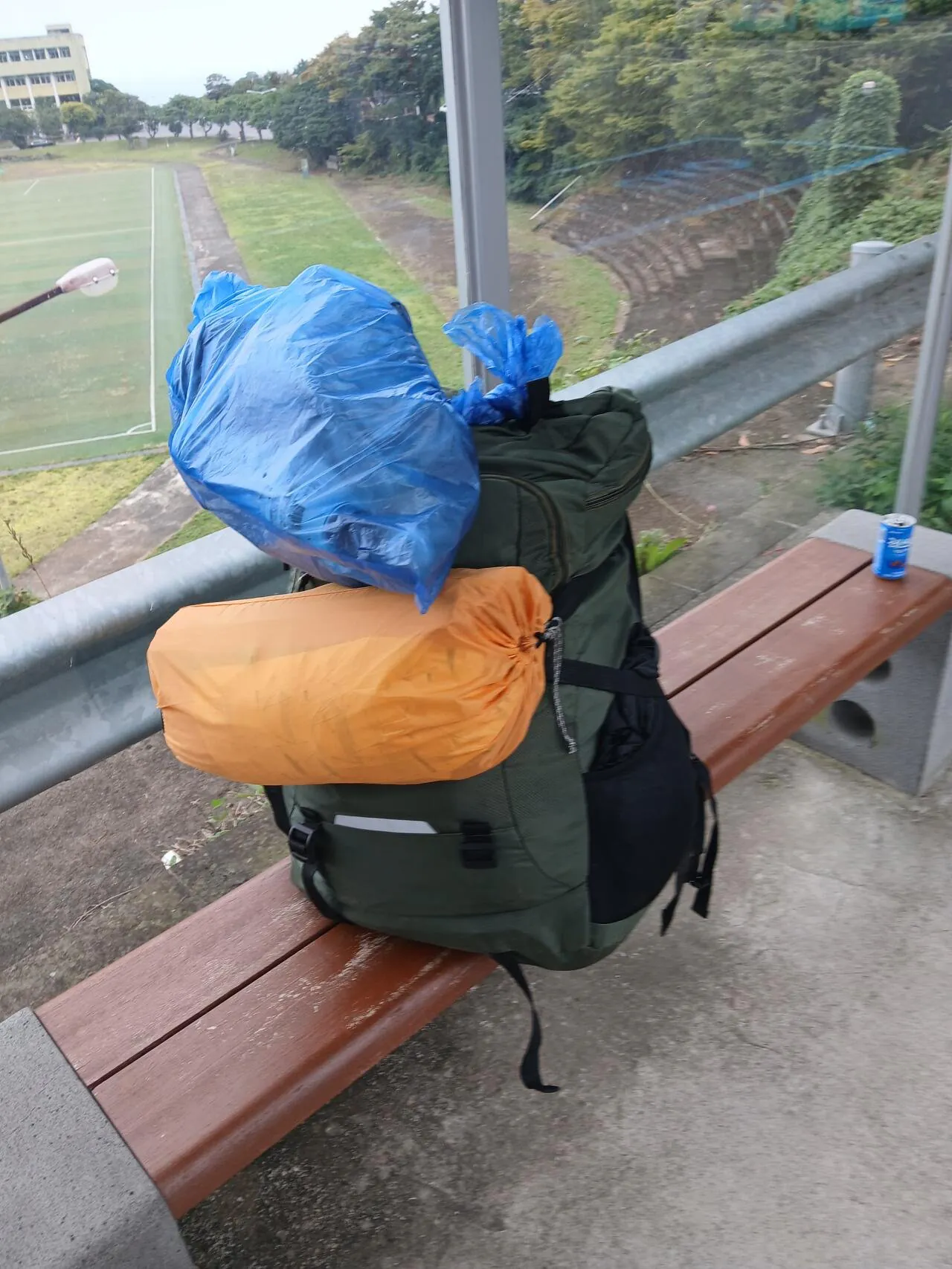 1000029687.jpg 혐주의) 제주도 뱀 수색 작전 2