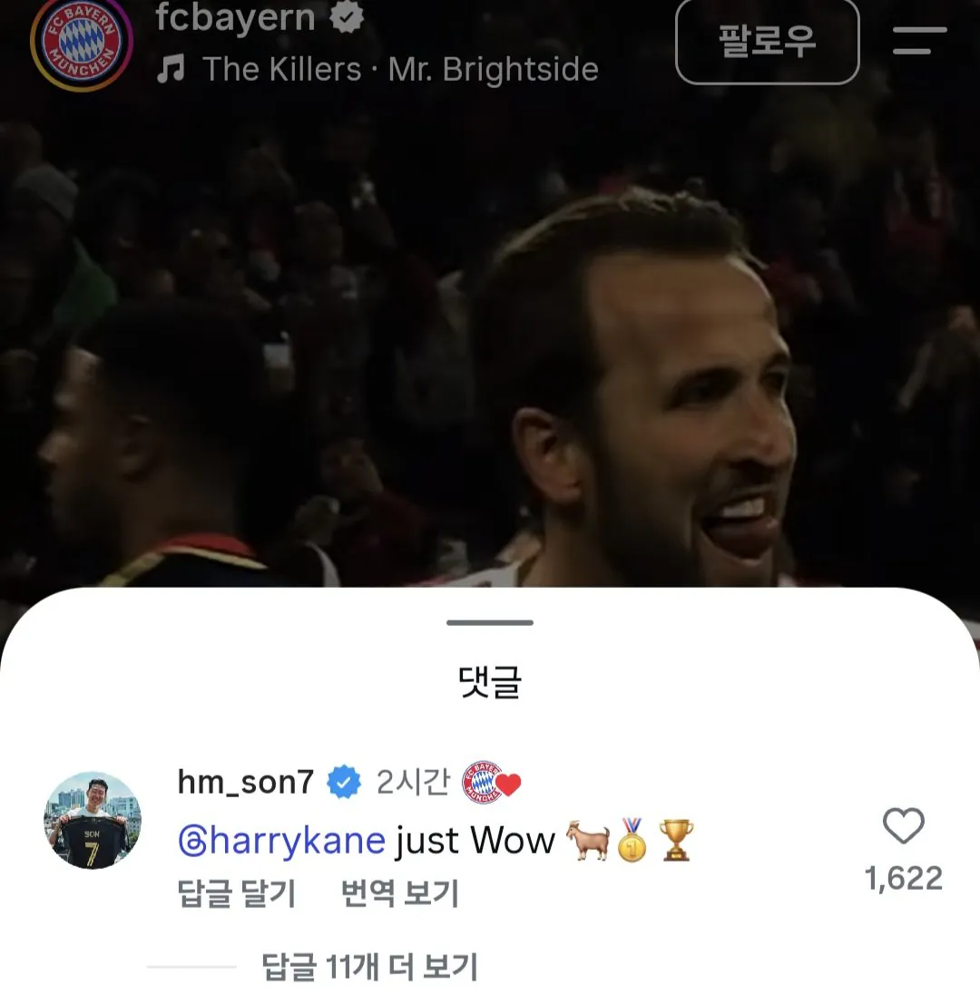 손흥민 바이에른 뮌헨 케인 영상에 댓글 담 ㄷㄷㄷ