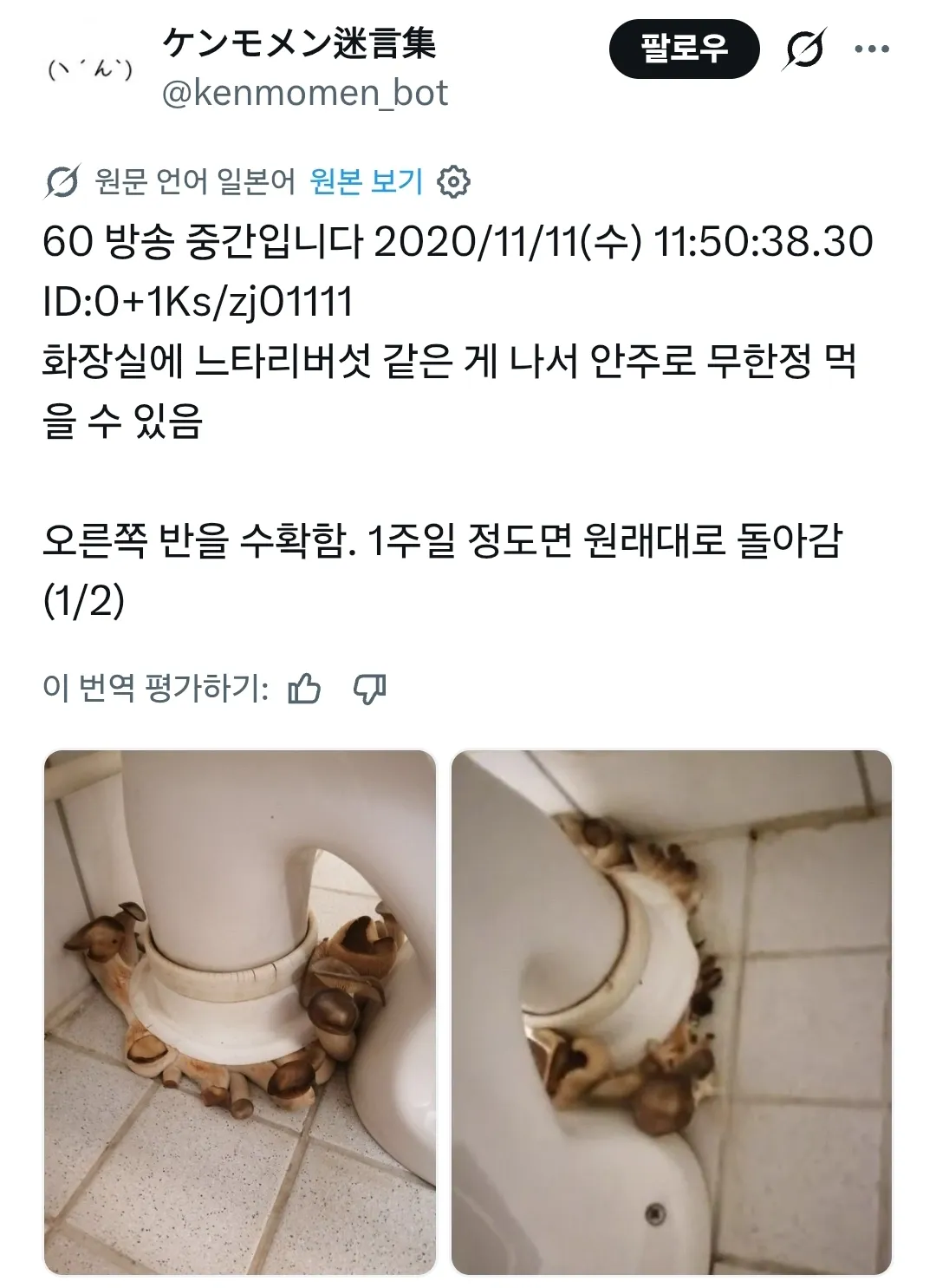 IMG_6184.webp 화장실에서 무한 생산되는 버섯을 발견한 일본인 ㄷㄷㄷ.jpg