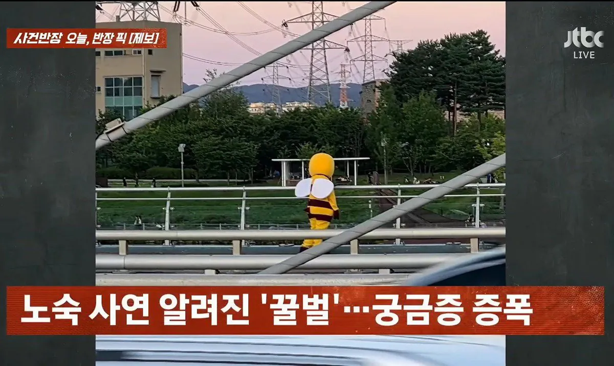 4.jpeg 사건반장에 나온 꿀벌 복장 입는 이유
