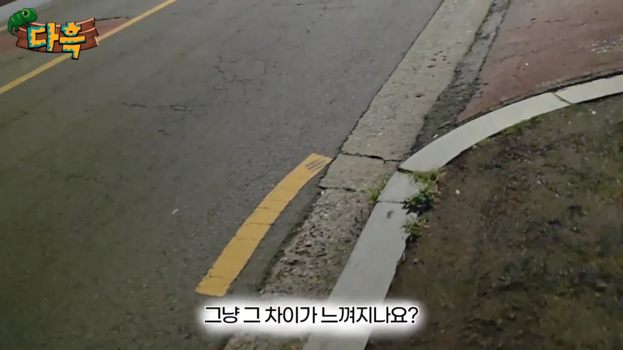 33e0b90b29520f5db8bd2e98c2f71933.png (약혐) 최근 부산에 자생한다는 거대돈벌레 ㄷㄷ