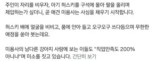 9532a14b-5185-4f3f-9502-abc02f73709e_best_1013169_psh1178.webp 주인 없는 틈에 포착된 애견샵 CCTV
