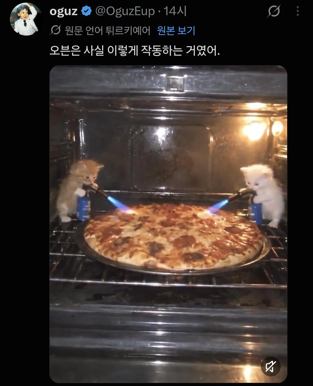 17807.jpg 오븐은 사실 이렇게 작동함.jpg