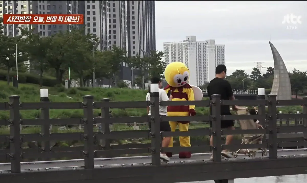 8.jpeg 사건반장에 나온 꿀벌 복장 입는 이유