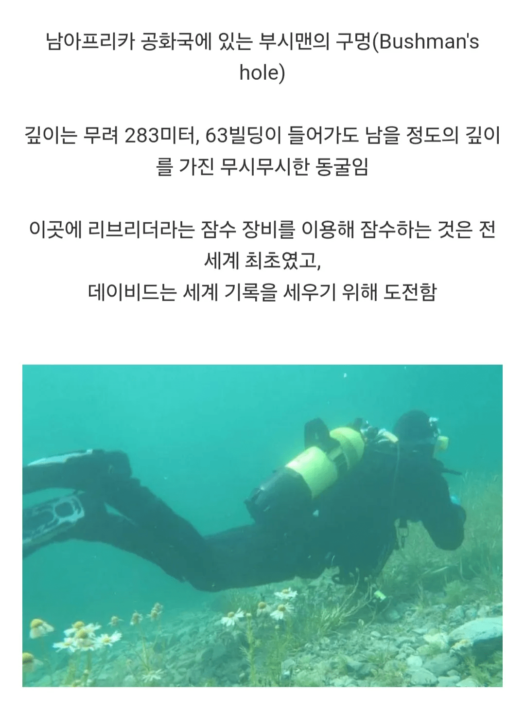 image.png 시체를 회수하다 시체가 되어버린 다이버
