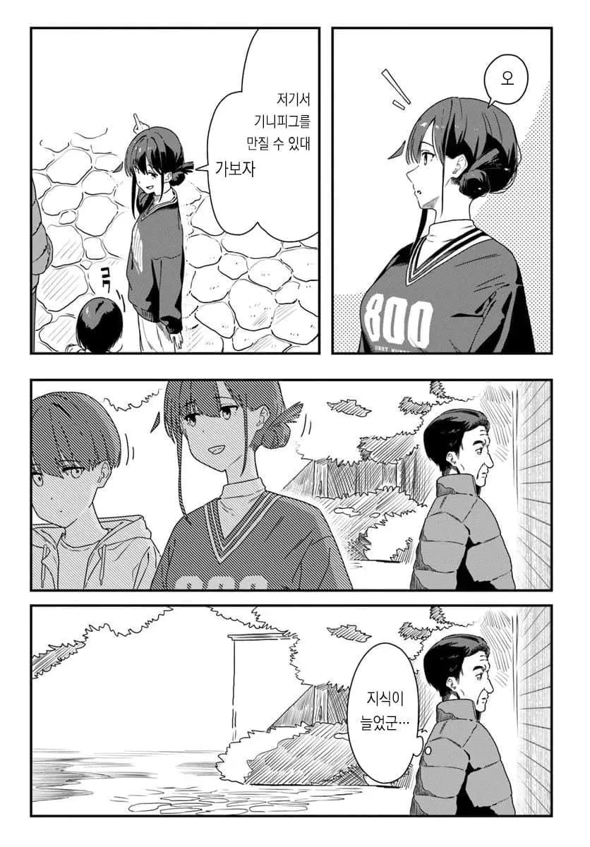 1000010272.jpg 줄무늬 다람쥐 습성을 알려주는 만화.manhwa