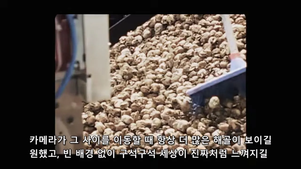 PORQUE SERIA IMPOSIBLE DE FILMAR EL SEÑOR DE LOS ANILLOS HOY_20260908_204314.583.jpg 오늘날 반지의제왕 같은 영화가 못나오는 이유 (스압)