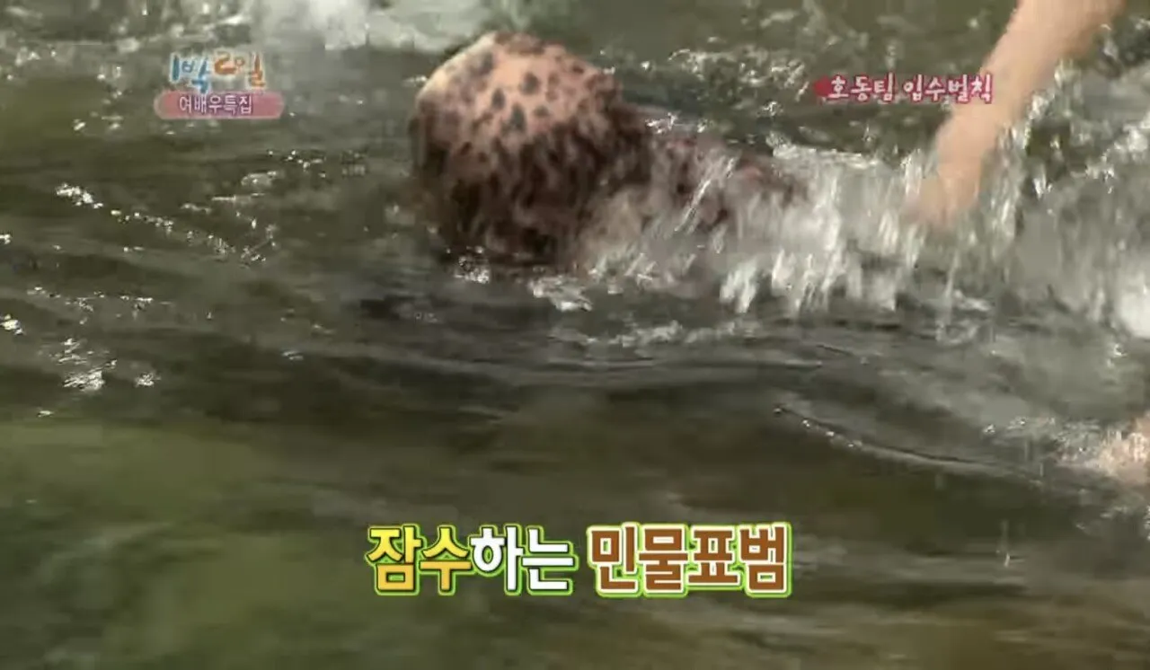 597E0BFC-E519-404C-8EF2-93C93973B95A.jpeg 나영석PD 인생에서 가장 무서웠을 순간 나영석PD 인생에서 가장 무서웠을 순간 .jpg 나영석PD 인생에서 가장 무서웠을 순간 .jpg