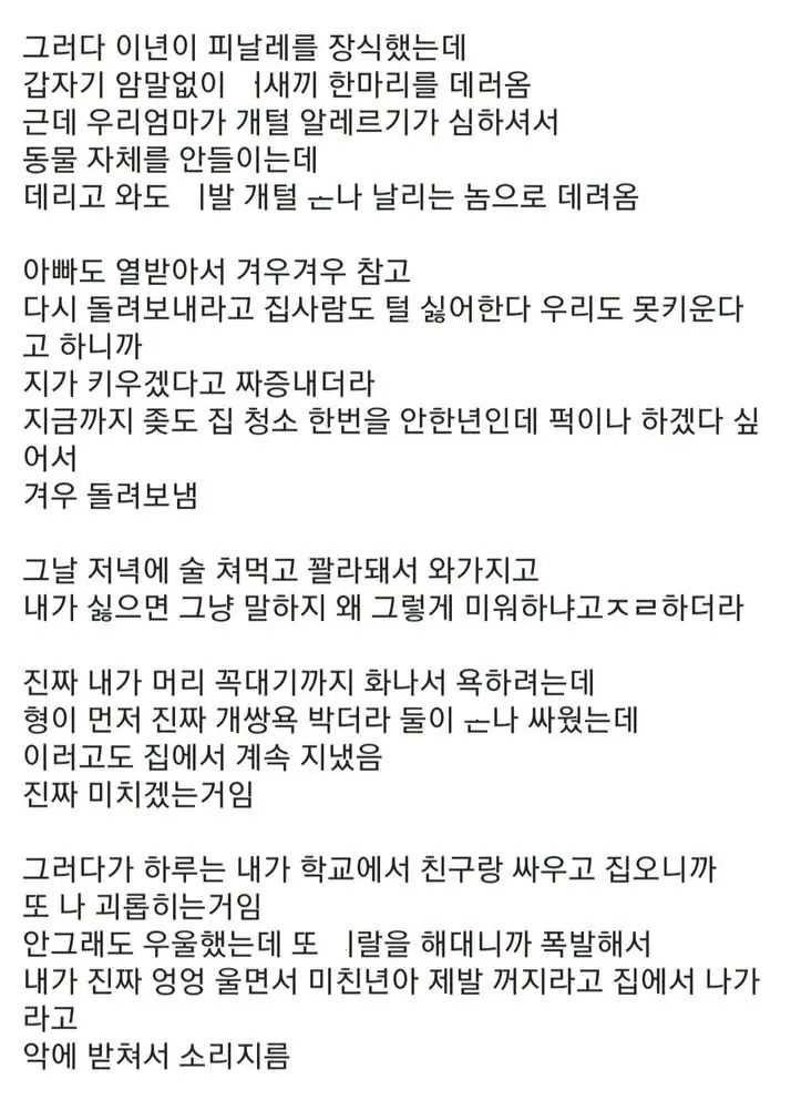 짐승같은 사촌누나랑 동거한썰