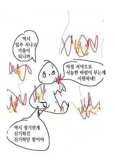 8073f0ebc95fabe6c66240b50a2818f065a17981.webp 입추인 한국인들 근황