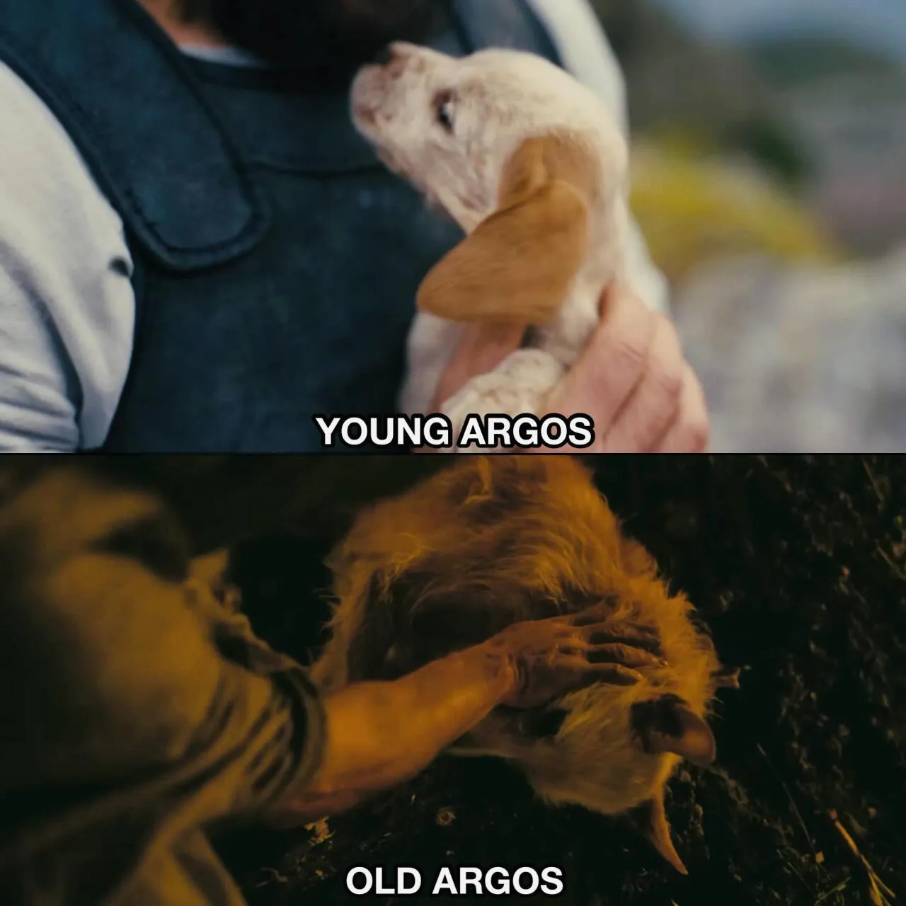 Argos_1.jpeg 오디세이 등장인물들의 이름 뜻을 알아보자