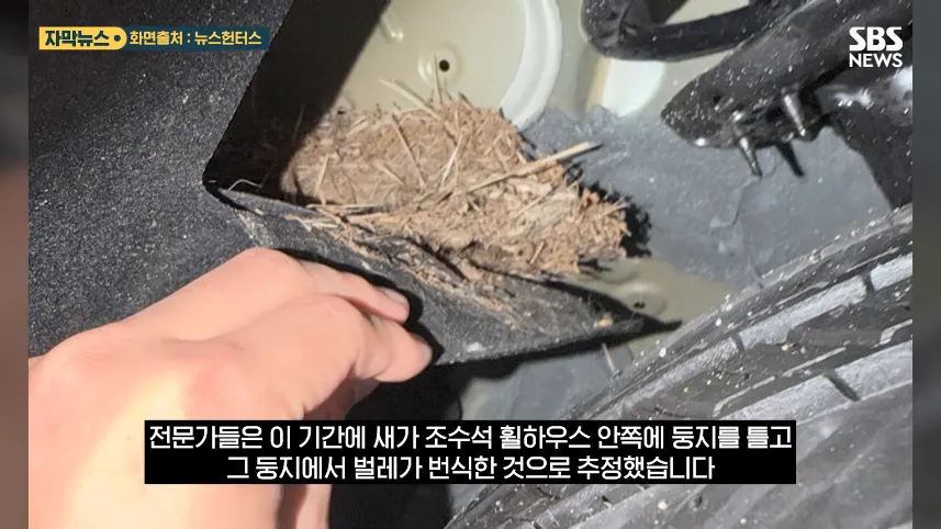 SBS 뉴스 - 참았던 차주 폭발하자 '급변'..7천만 원 '벌레 전기차' 결국 (자막뉴스) SBS [vBTL8eoZxrM - 857x482 - 0m53s].png 재고차를 샀는데 벌레도 보내 줌
