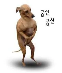 굽신굽신 강아지 재일교포와 대한민국의 산업화에 대해 알아보자..
