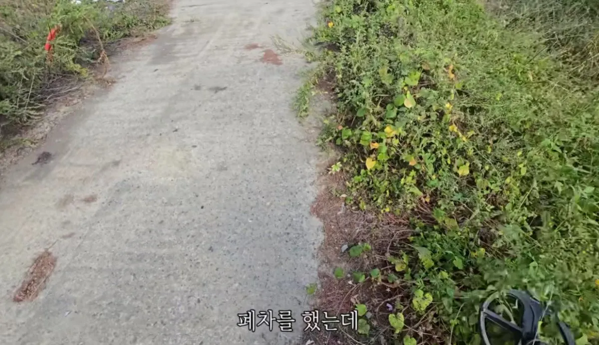 인디아나 웁스 (47).bmp.ren.jpg 스압 ) 금속탐지기로 고인의 유품을찾아준 유튜버