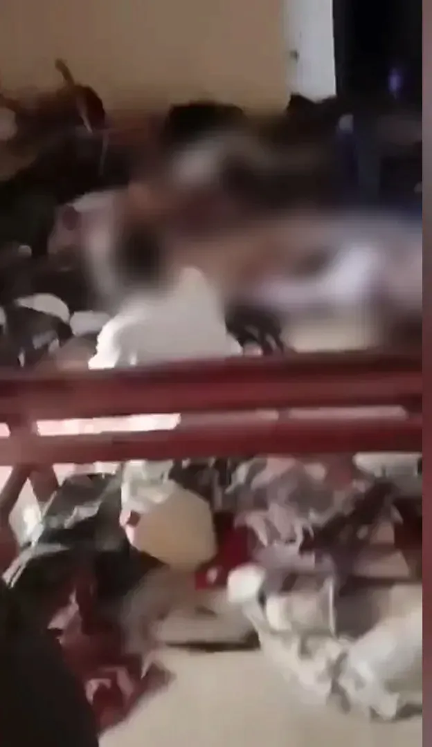 image.png 21세기판 "공성전 후 학살"인 알파시르 학살