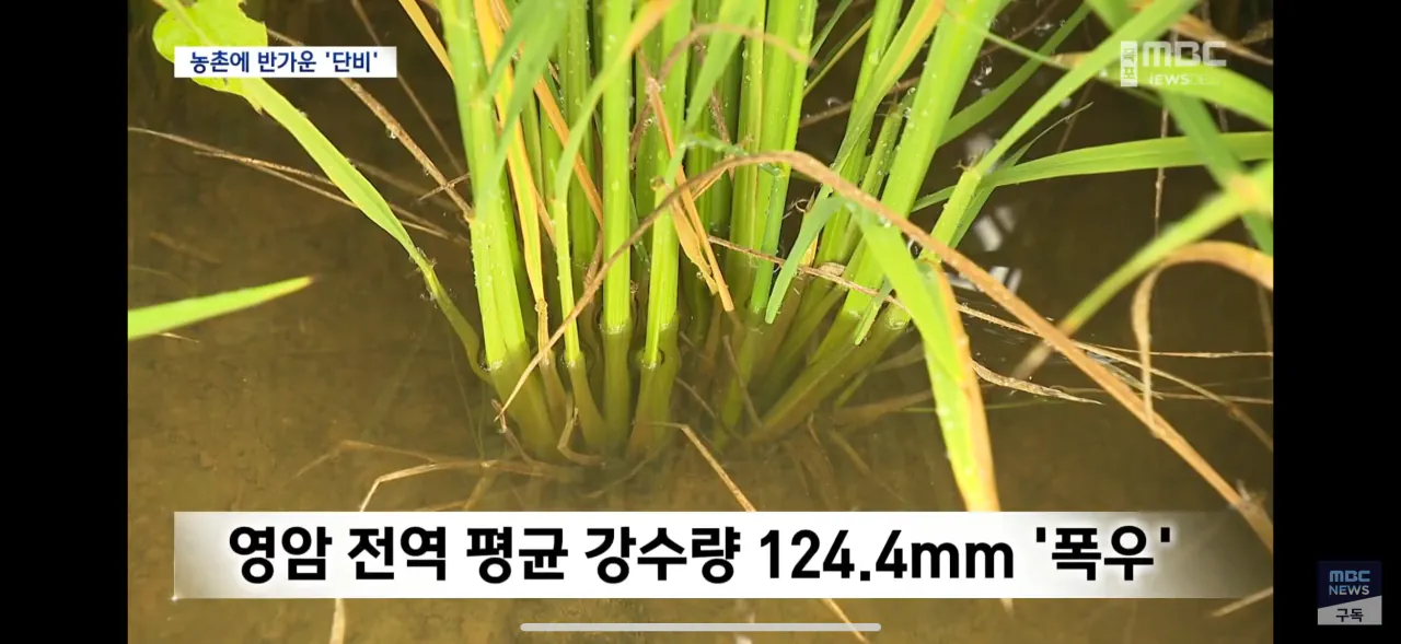 IMG_0283.png 포텐간 mbc 저격글은 거제 영상이 아니다
