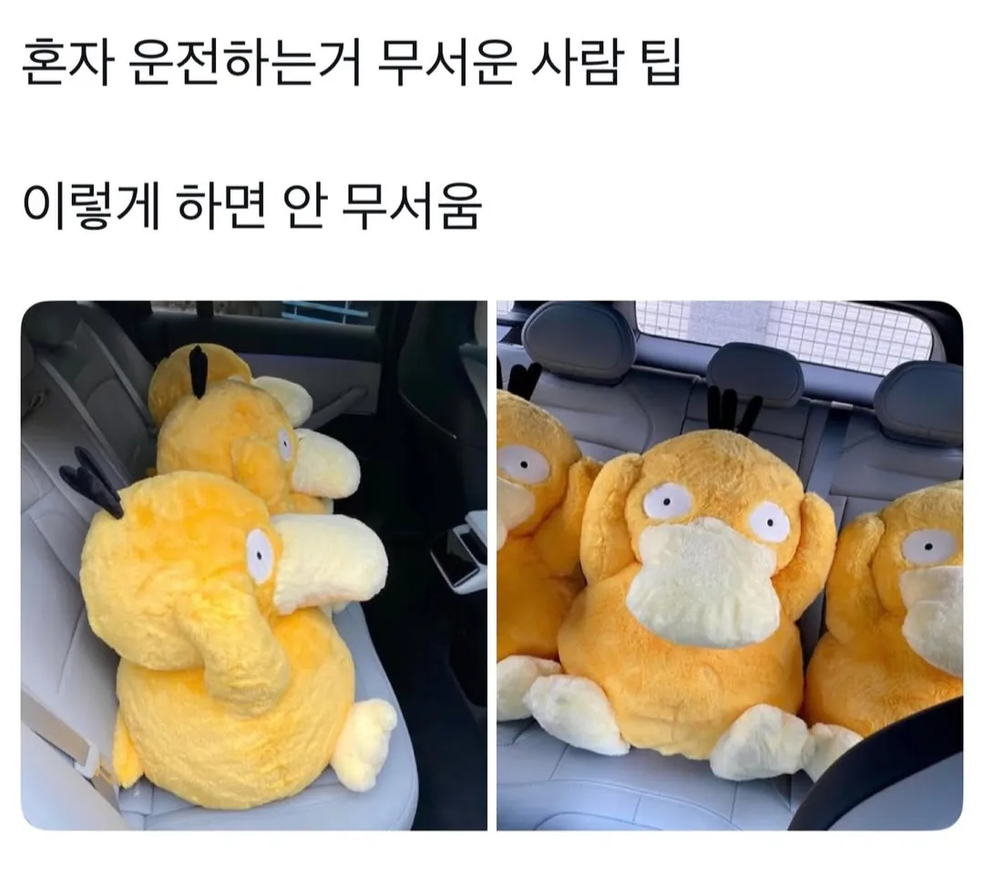 image.png 혼자 운전하는거 무서운 사람 팁.jpg