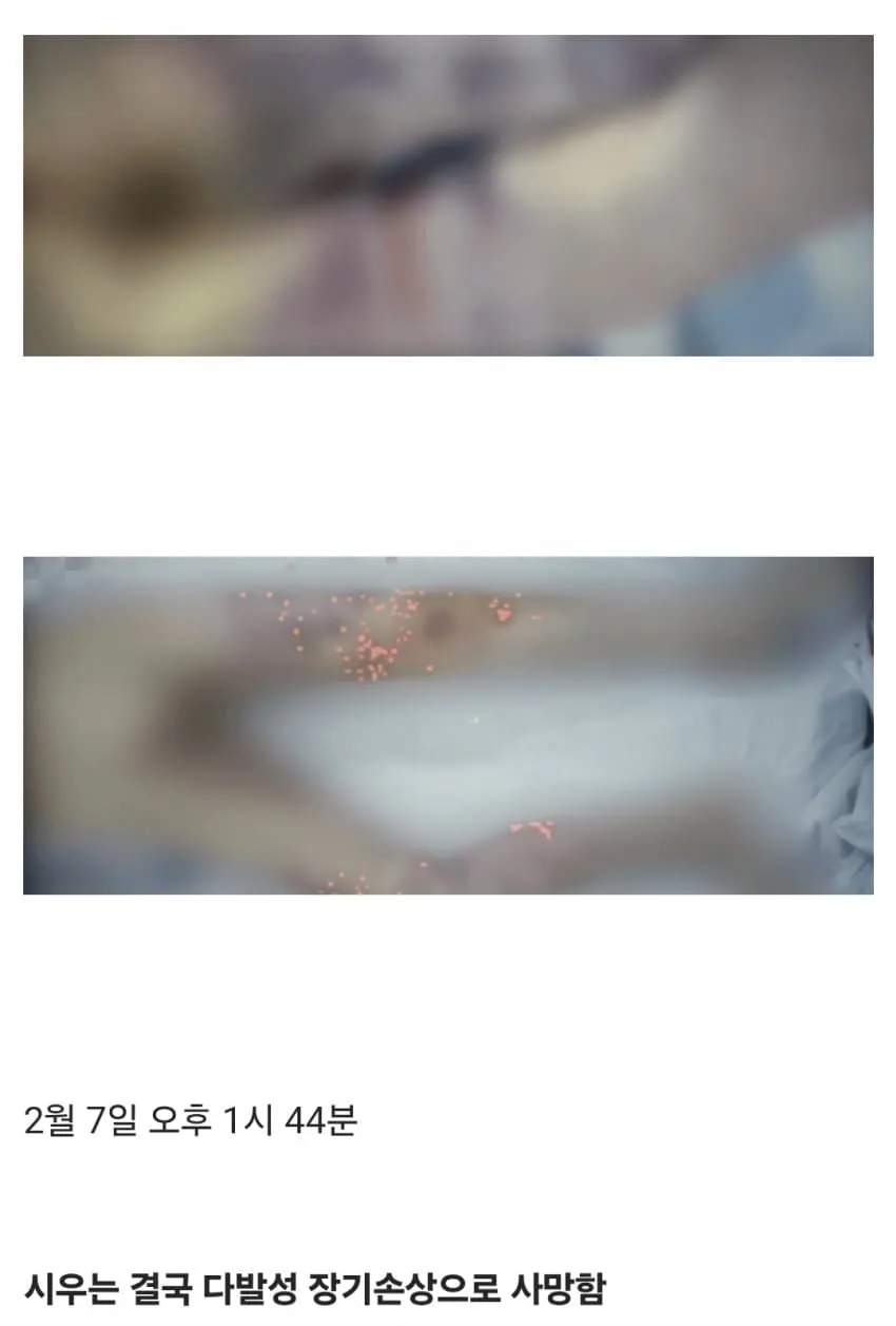 시우23.jpg 의자에 묶인 채로 성경 필사를 하다가 죽은 12살 아이