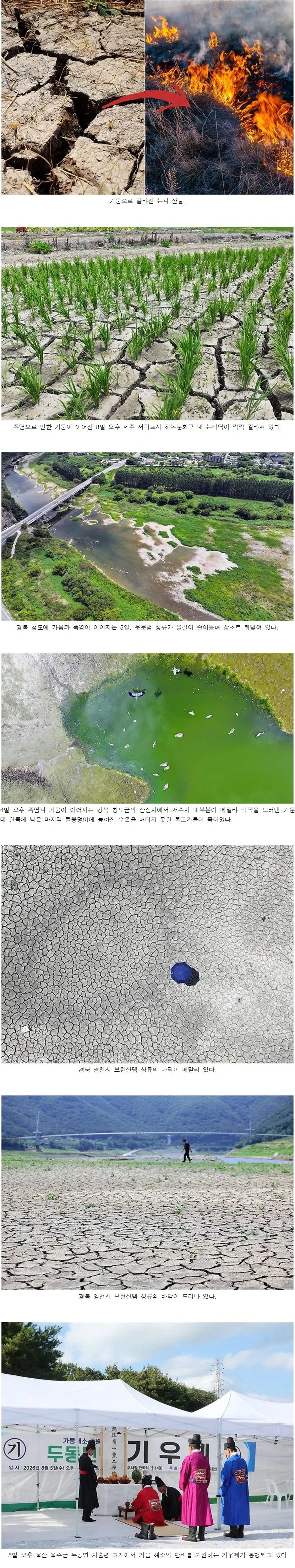 6160.webp 현재 한국 날씨 상태