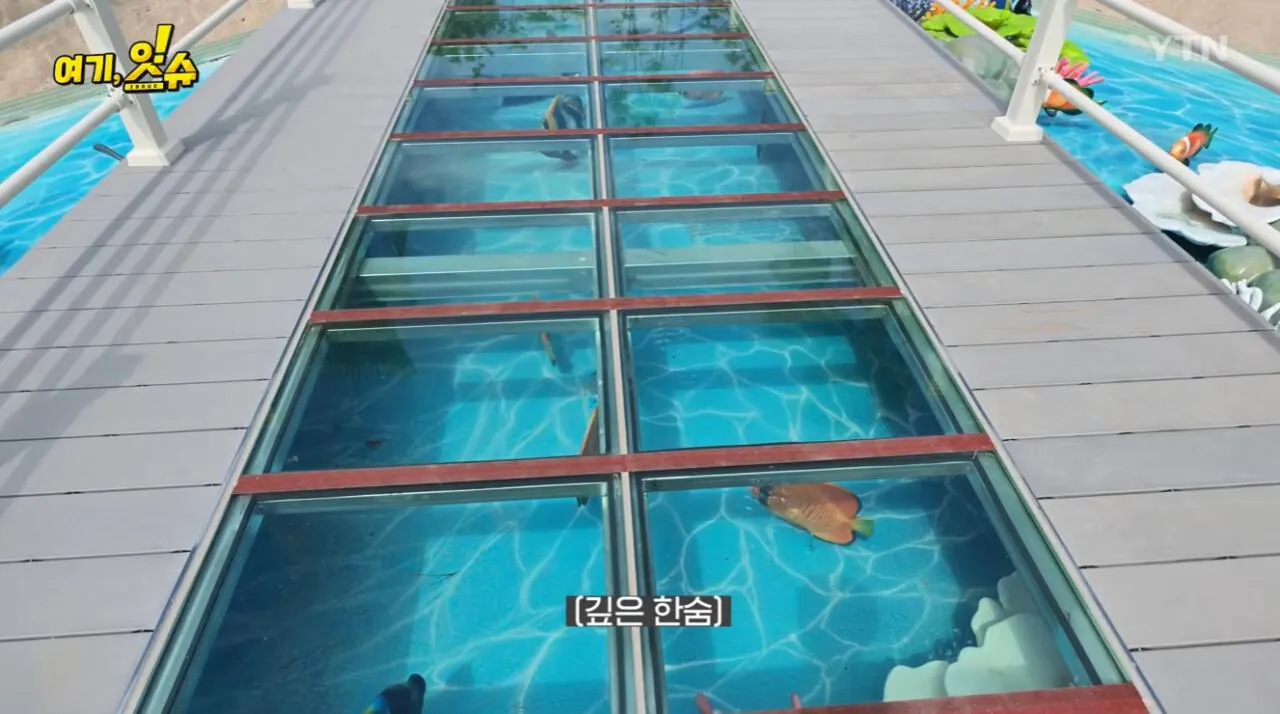섬 박람회를 직접 가보니 화가 난다는 기자 ㄷㄷ