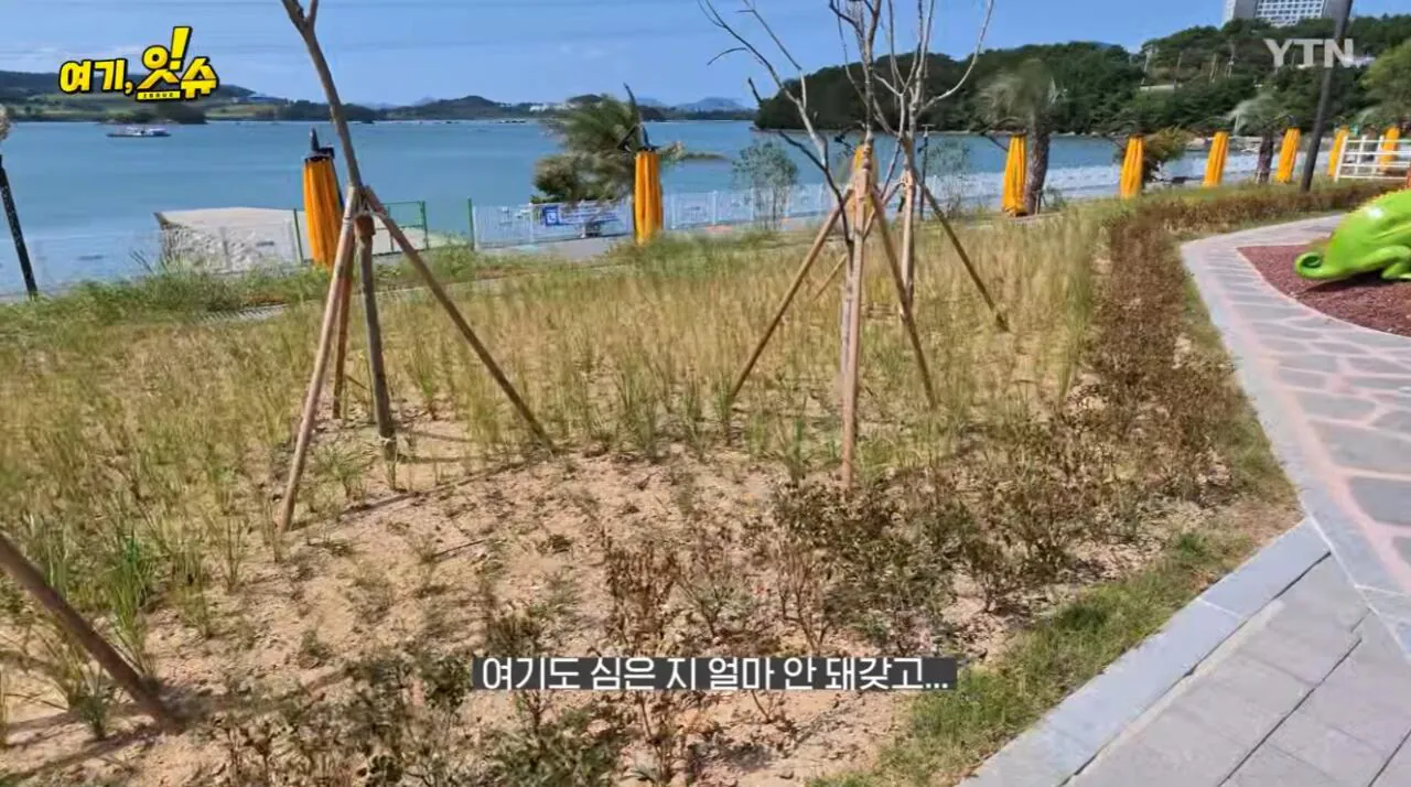 섬 박람회를 직접 가보니 화가 난다는 기자 ㄷㄷ