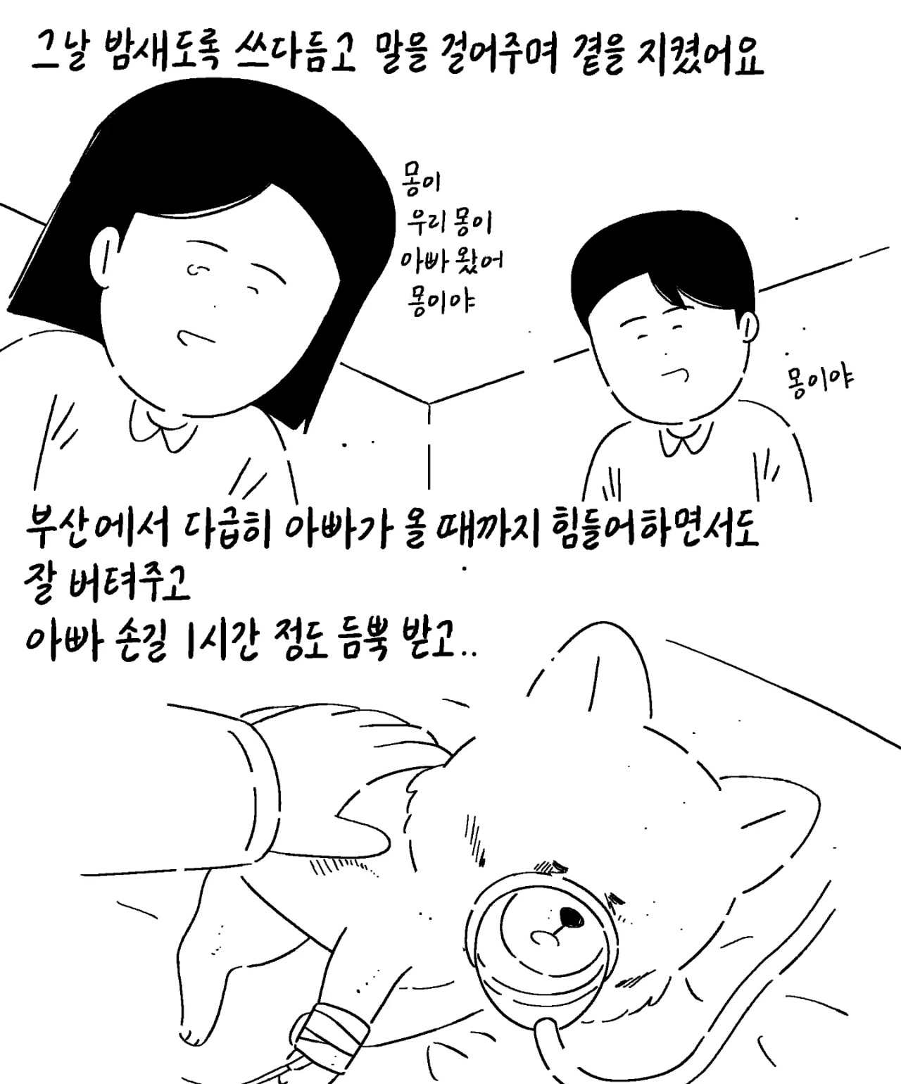 image.png 친구가 펫샵에 파양한 강아지 데리고 와 지극정성으로 키운 사연자