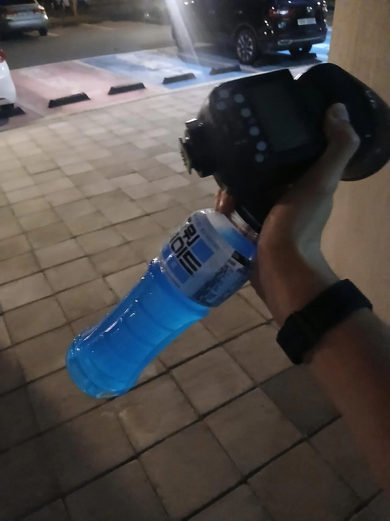 1000029357.jpg 혐주의) 제주도 뱀 수색 작전 1