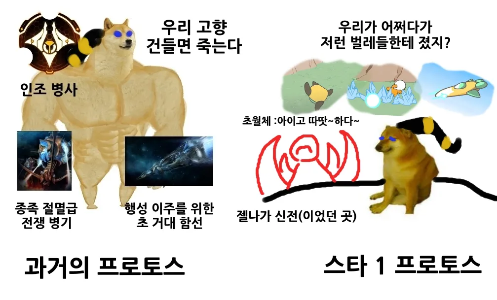 IMG_0874.webp (스타) 씹고능 종족 저그의 역사