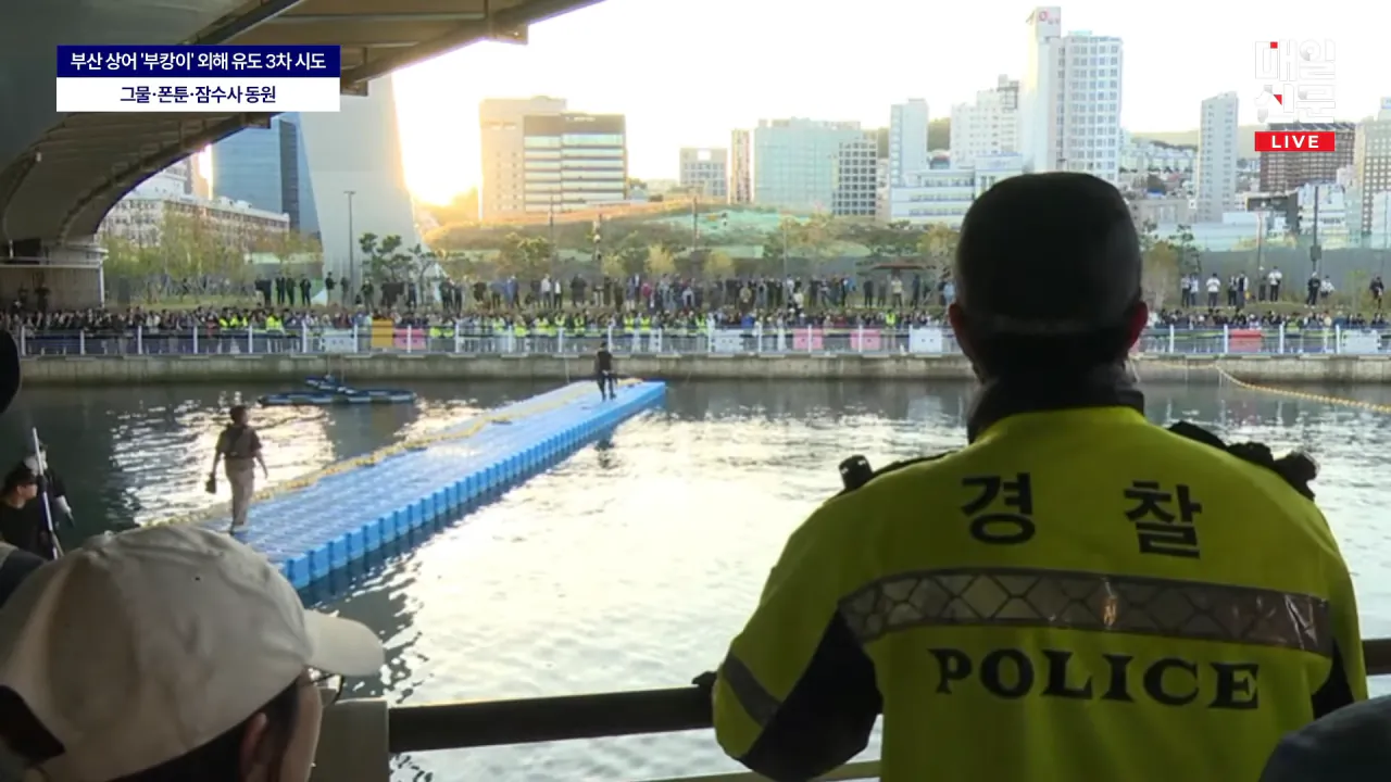image.png 속보)부캉이 포위망 돌파