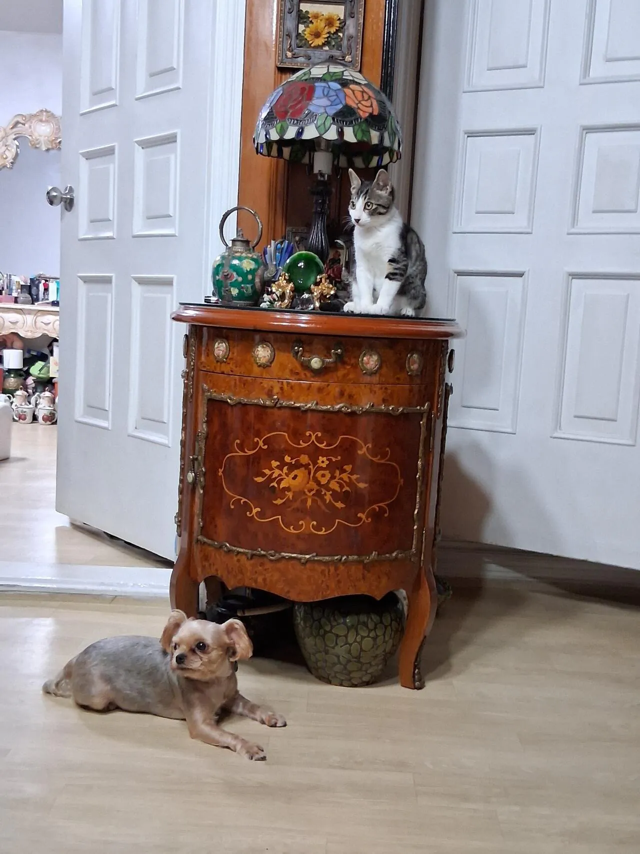 1000024642.jpg 할머니가 방금 보내준 사진