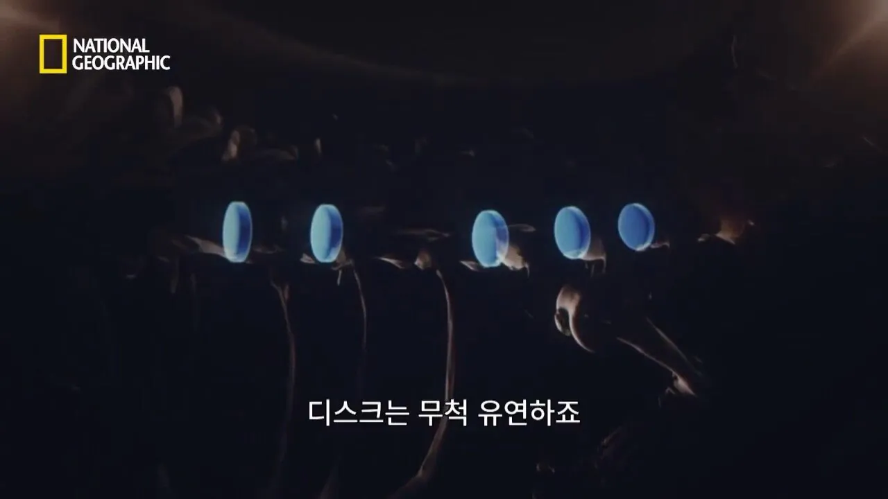 Internet_20260802_153513_23.jpeg 사냥 중 120m 절벽 아래로 떨어진 눈표범